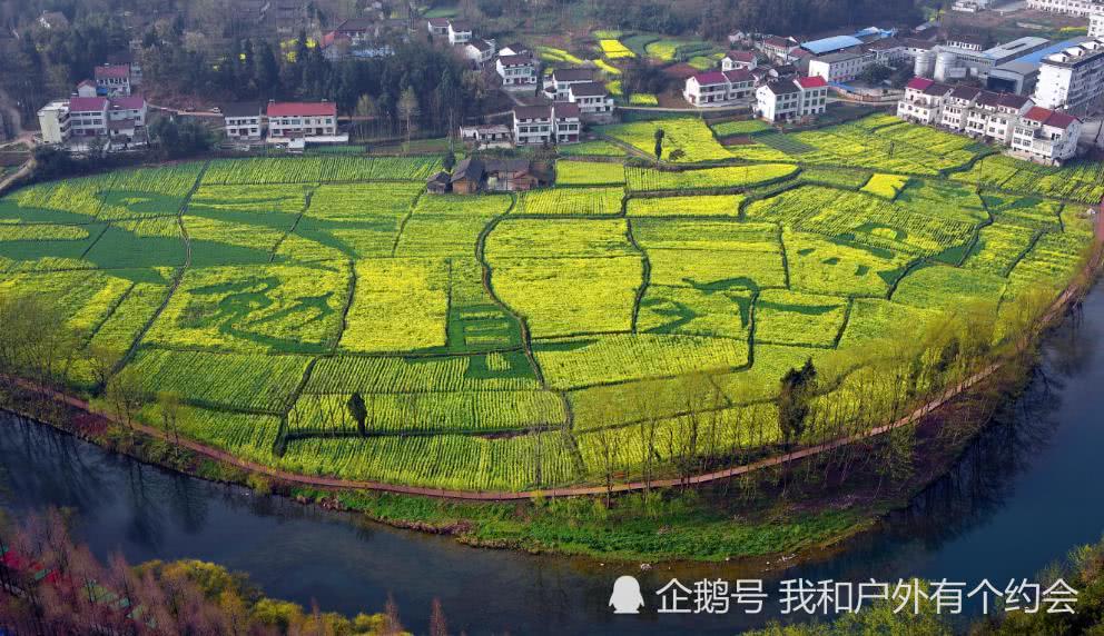 春天最美的地方在汉中,金色油菜花海中徜徉,这个春天里你来么?