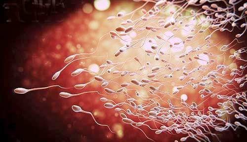 怀孕前十天胎儿和母体的变化, 原来这么神奇和