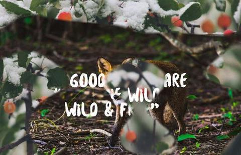 CSS3边框颜色渐变 CSS背景颜色如何实现渐变