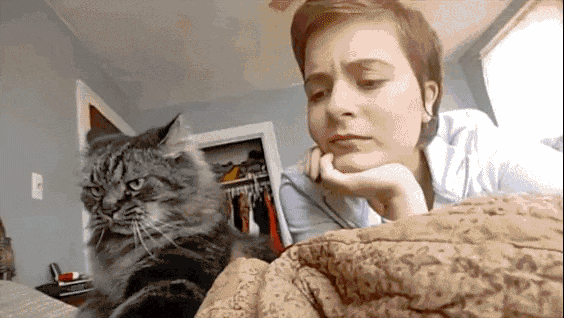 主人在猫咪耳边唠叨,猫咪一脸的嫌弃,猫咪:女人真是麻烦