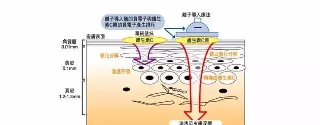 美容仪原理篇,网红美容仪真的有用吗?