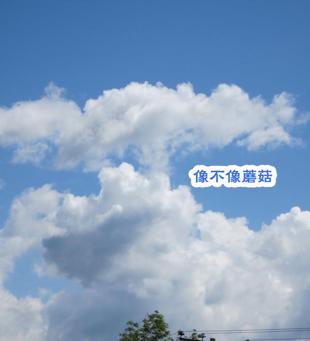 农村种地养蚕自给自足,空气清新