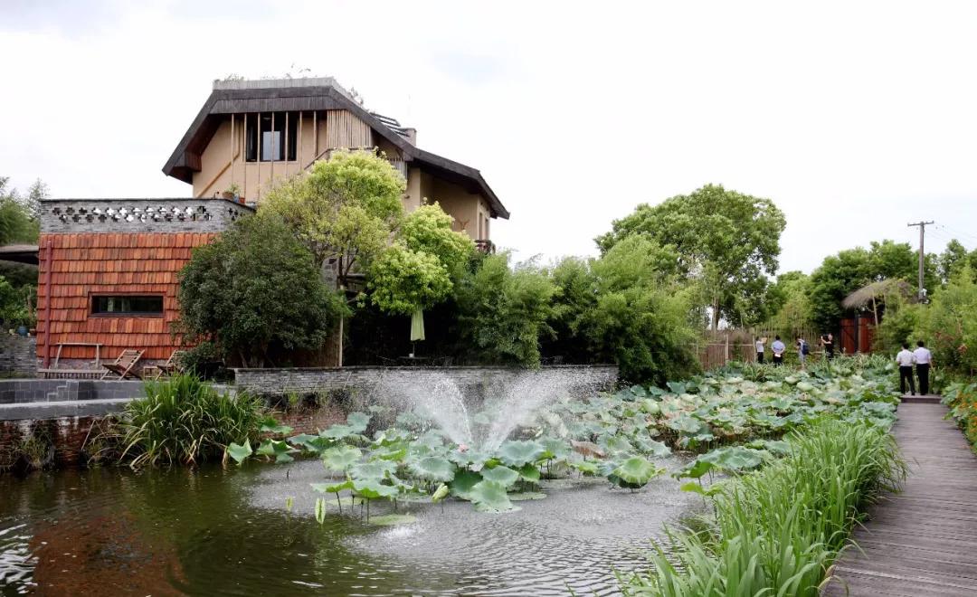湖北首家非遗民宿落户东湖：一种有温度的生存办法正在草木间怠缓滋长