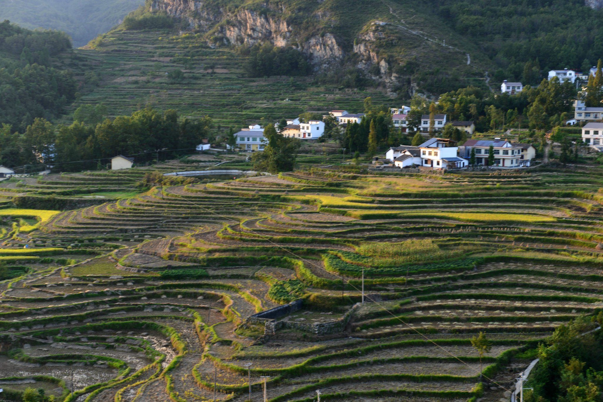 稻香,云海,欢笑,汉阴凤堰农民丰收节美丽与幸福