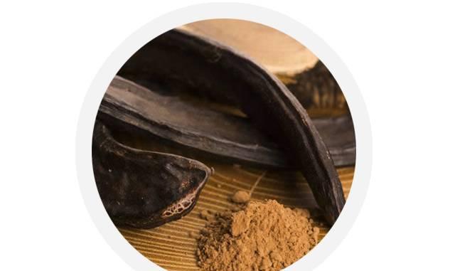 巧克力有毒?我的狗吃了怎么没事