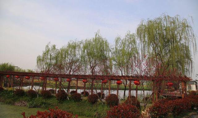 最美江南三月天 不负春光犁桥行