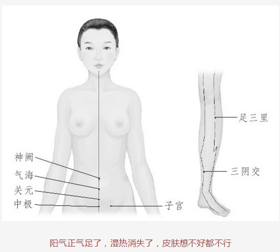 灸除百病的智慧-湿毒一除痘痘消失