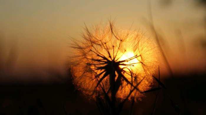 江苏高考卷零分作文: 爆笑中的悲哀