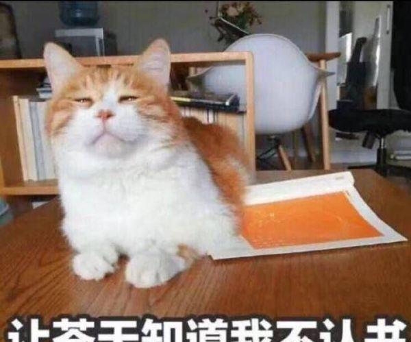 这一波斗图表情,是我用了1个G的换来频小视致敬的表情包图片