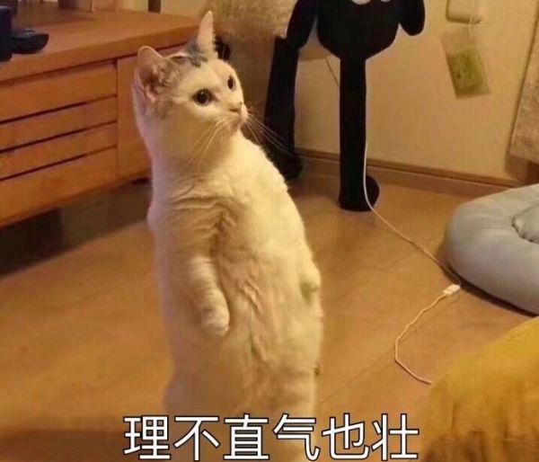 这一波斗图表情,是我用了1个G的换来频小视表包气变情形到图片