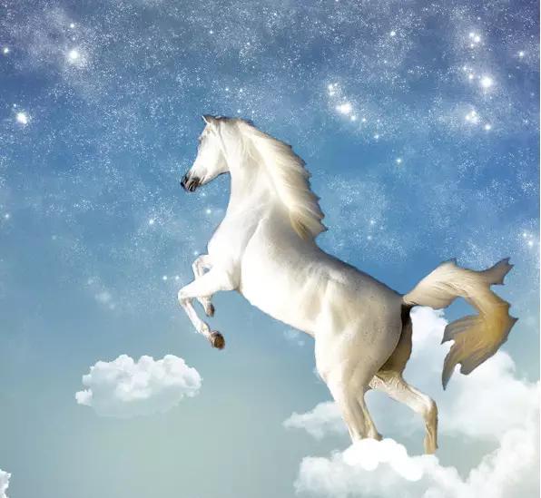这匹白马奔驰在天空下很帅气啊!那么暗示的是哪个成语呢?