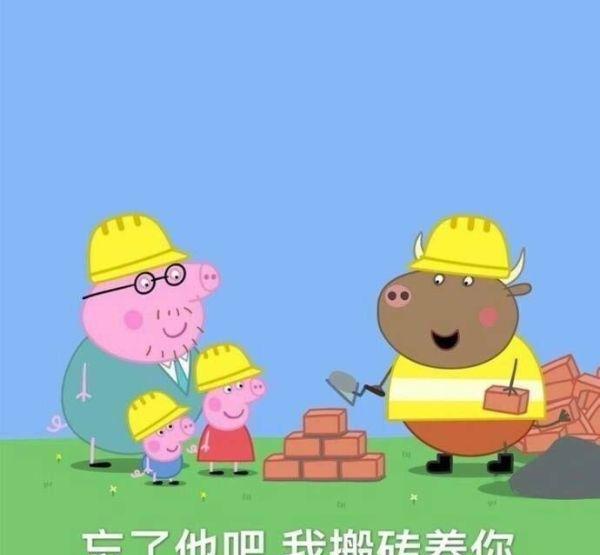 这一波斗图表情,是我用了1个G的换来频小视企业表情包下载怎么qq图片