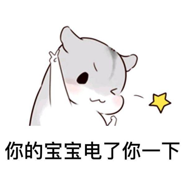 这一波斗图表情,是我用了1个G的换来频小视殴打表情包兔子图片