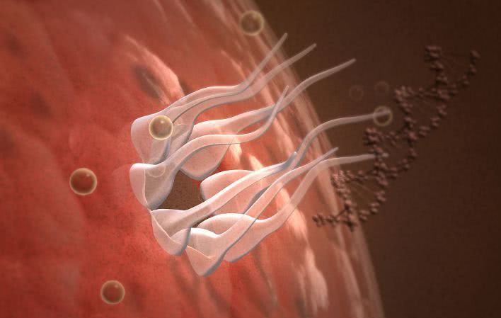 人口与病毒_人口与国情手抄报(2)