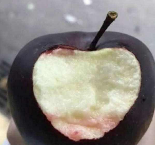 爷爷在家盆栽黑苹果, 结果后邻居纷纷来围观, 咬开后是这样的!