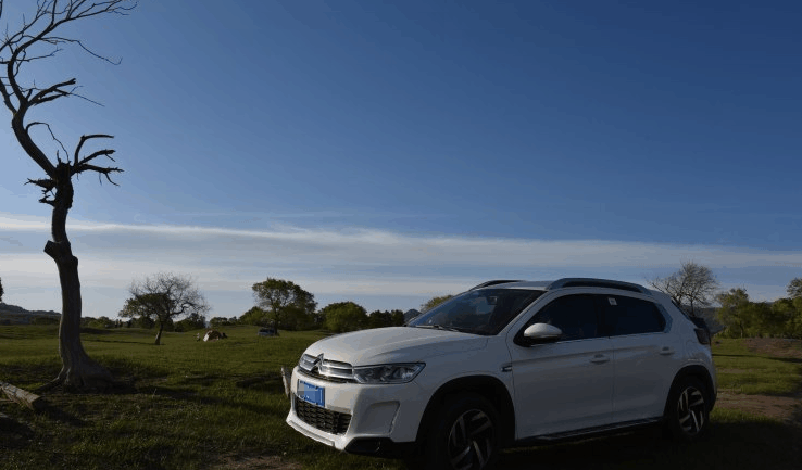 冲着便宜提了这款合资车, 现在开得肠子都悔青