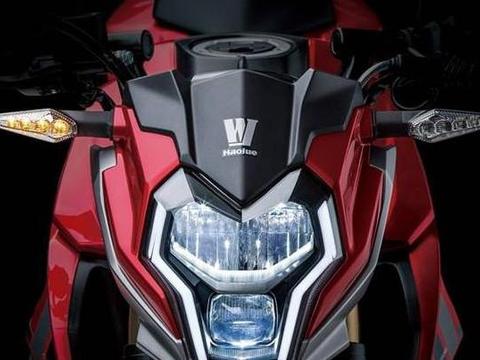 速递!新鲜的“铃木“资讯全在这，看我就够了