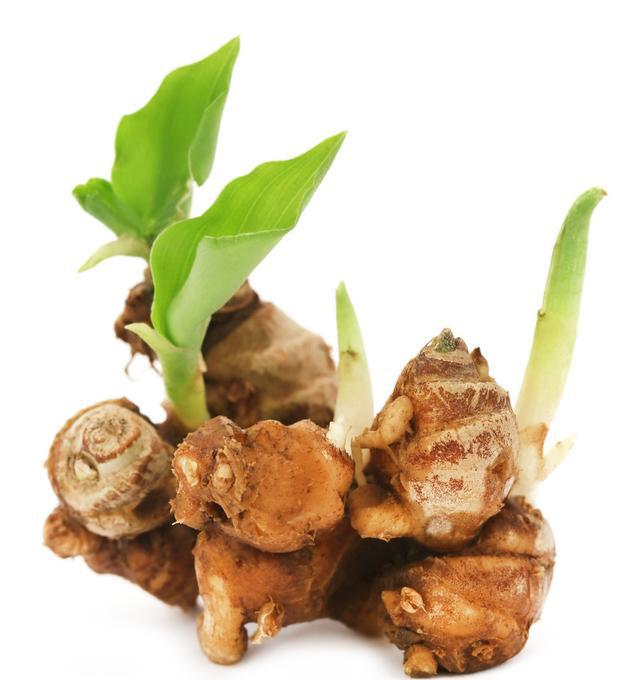 但比生姜要淡一些,而且沙姜不仅能去腥,还有提鲜增香的作用,这是生姜