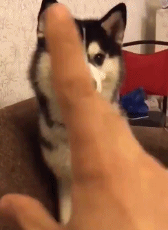 搞笑动态图:大叔你穿成这样出门,大妈她知道吗