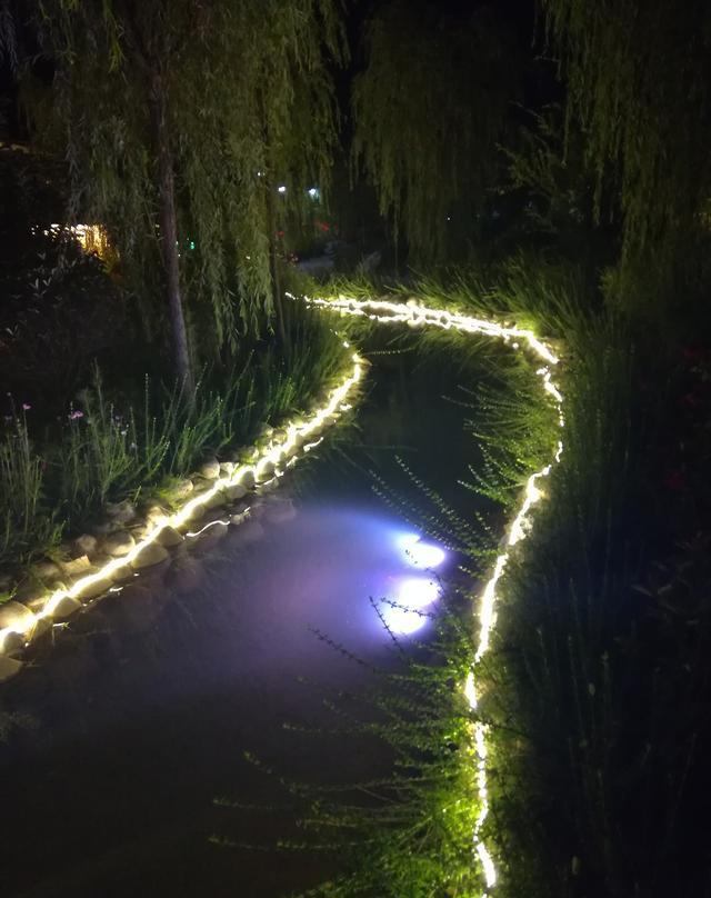 铜川王家河的湿地公园夜景