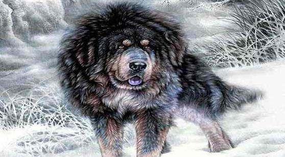 《遮天》做狗不能太黑皇,黑皇不愧是无始的宠物,主人绝对是极品