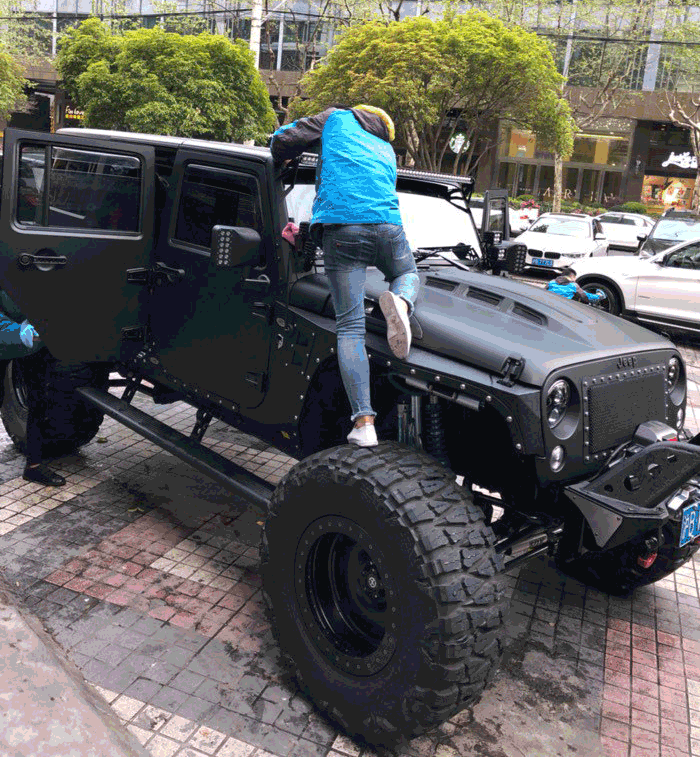 偶遇爆改的牧马人，真正的“高头大马”，帅得一塌糊涂