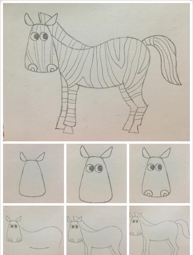 要和大家分享的是斑马的画法,咱们一步一步来吧,先画好轮廓再画斑纹