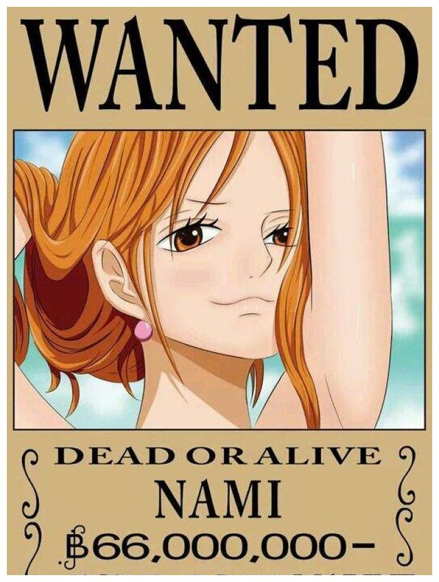 海贼王赏金排名图片