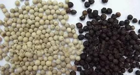 黑胡椒和白胡椒我以为只是颜色不同, 其实区别