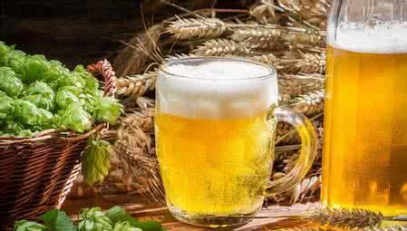 青岛二叔透漏家庭自酿啤酒方法,我赶紧试了试