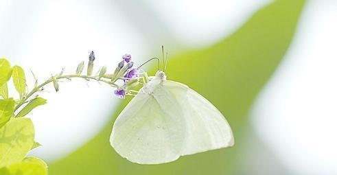 怀孕前三个月期间出血了, 一定要去医院保胎吗