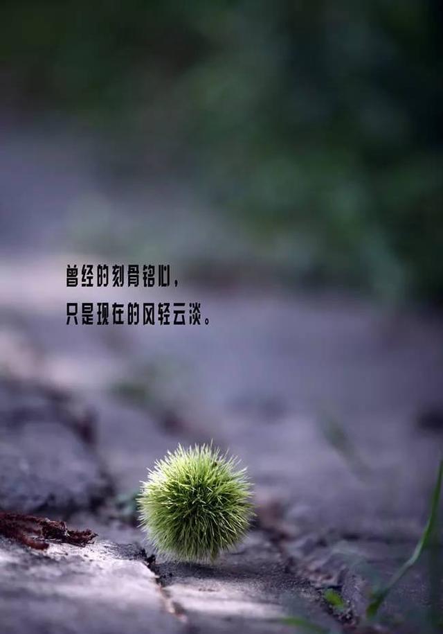 励志正能量,人生感悟有哲理话语,句句戳心 值得收藏!67