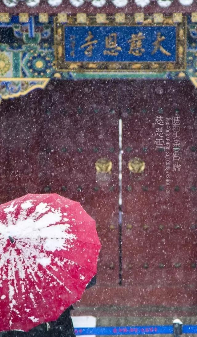 有人竟把西安做成了手机壁纸!简直美得不敢眨