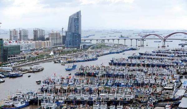 浙江省的这座城市, 拥有我国最大的渔场, 是一座