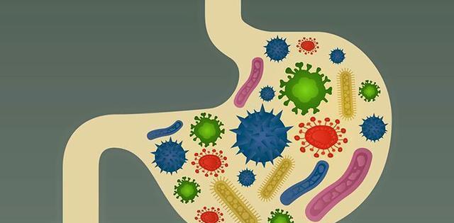 孩子胃口不好, 我该不该喂益生菌呢?