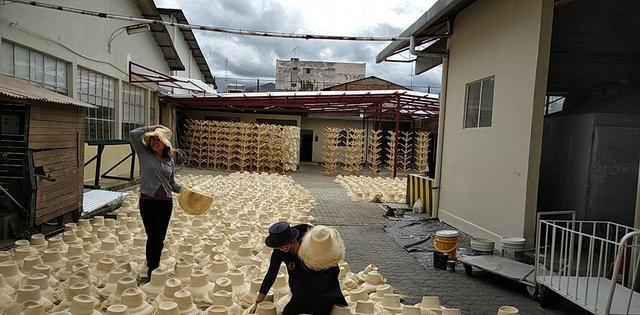 巴拿马草帽价格为什么那么贵?深入厄瓜多尔揭