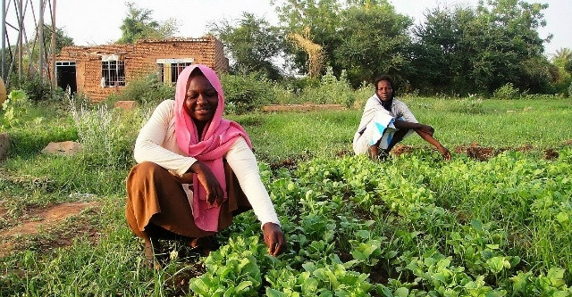 直击中国农民到非洲开农场,自己修路开荒,种出