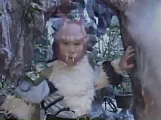它是观音的坐骑，也是三界中唯一会飞的僵尸，曾力战五条蛟龙