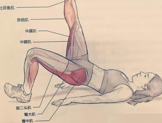 腿筋拉伤对球员有啥影响?不会危及生涯,保罗恢