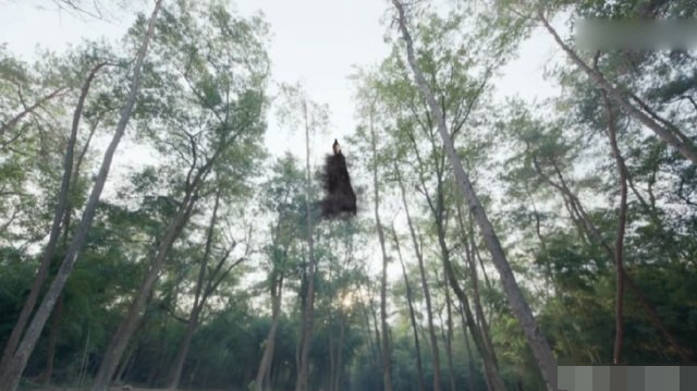 《扶摇》帝非天容貌曝光,比无极长得帅,对扶摇