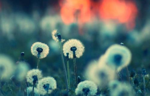 对恶人、小人不计较,是一种智慧