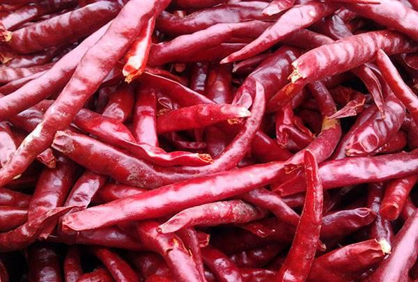 认识云南文山:中国辣椒之乡 丘北县