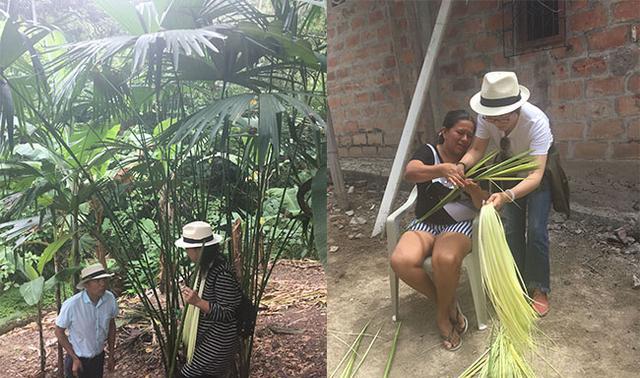 巴拿马草帽价格为什么那么贵?深入厄瓜多尔揭