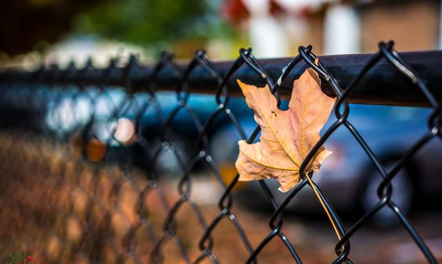 适马18-35mm F\/1.8 ART 最完美的变焦镜头