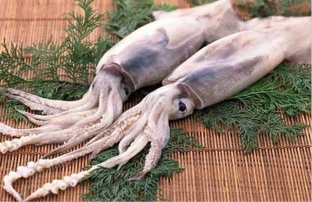 各种海鲜名字大全