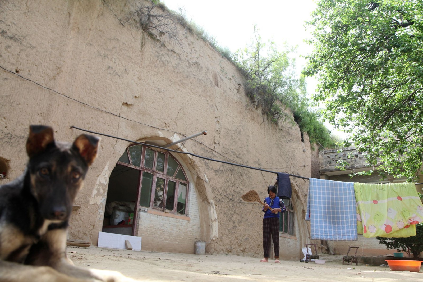 实拍:山西农村5月高温天土窑洞生活,夏天凉的人不敢住