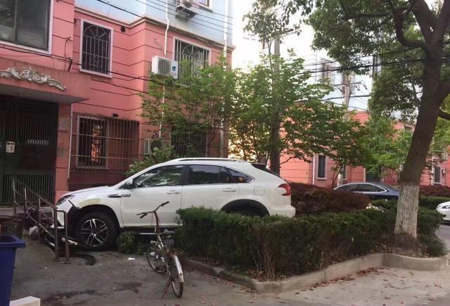 动力太猛女司机受不了, 比亚迪唐直接顶柱子上了, 我打赌你做不到