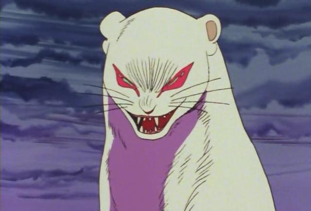 颜艺之王むく只要一个动作就让猫奴忍俊不