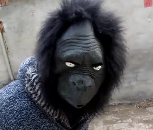 主人戴了个恶搞面具,结果金毛就不认识了,下一秒让人笑出眼泪!