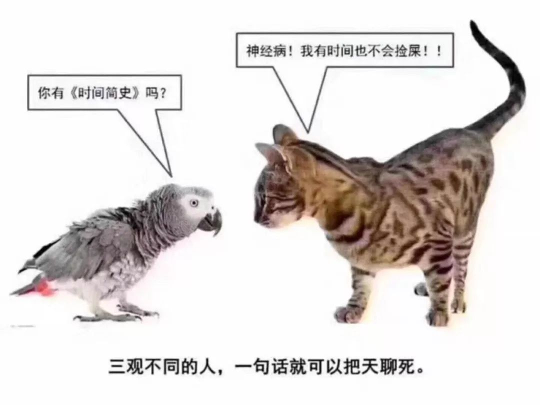 最近转债的投资机会分析（独家）